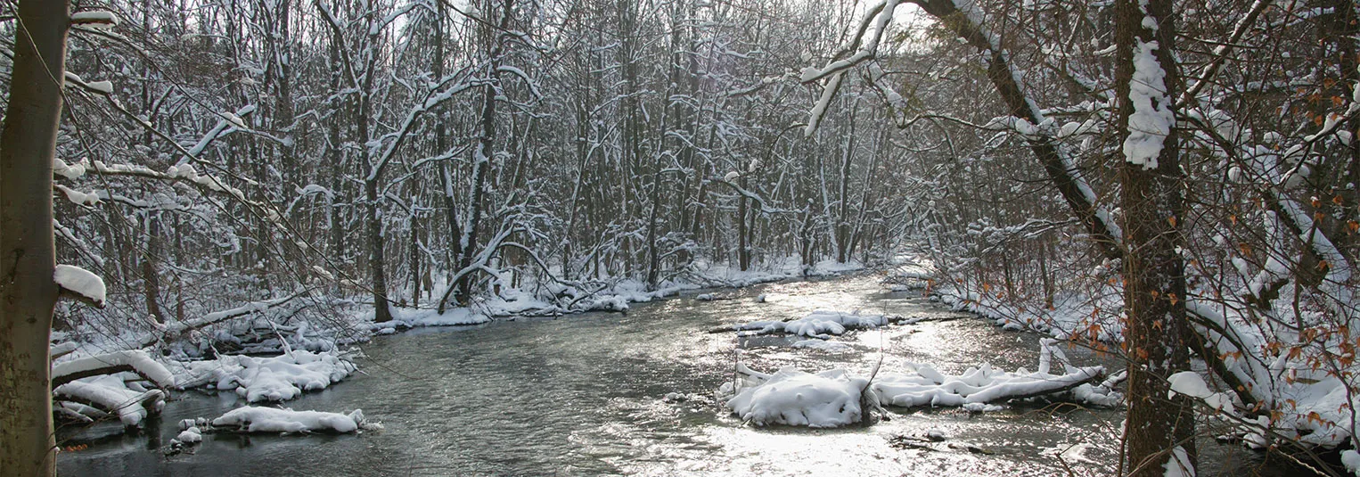 banner-hidden-winter-travel-gems-americans-are-searching-for-1